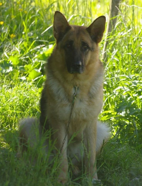 Publication : Des seigneurs de montbel