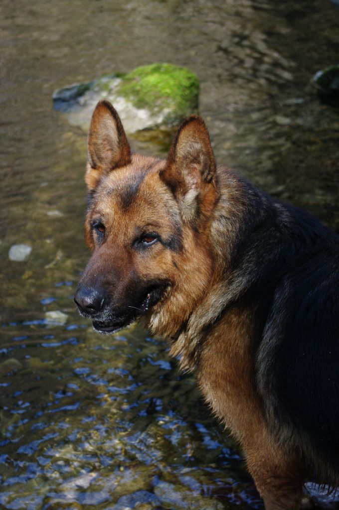 Ildo (ioda) de la citè  d'èmeraude