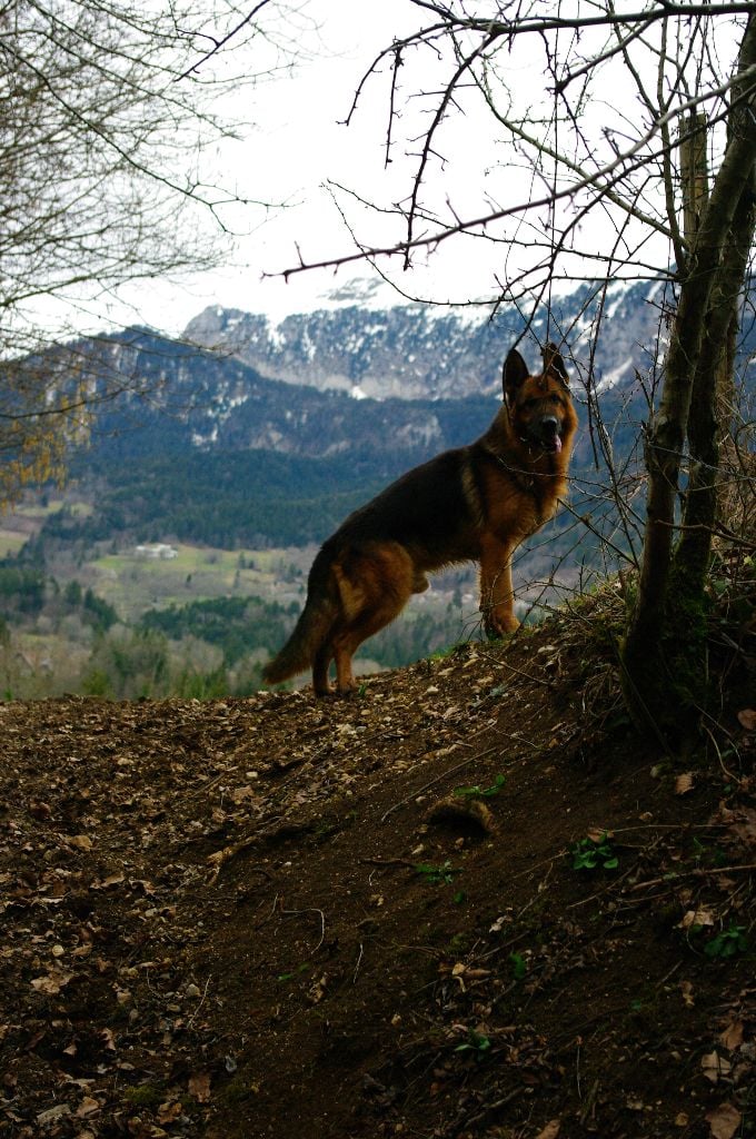 Ildo (ioda) de la citè  d'èmeraude