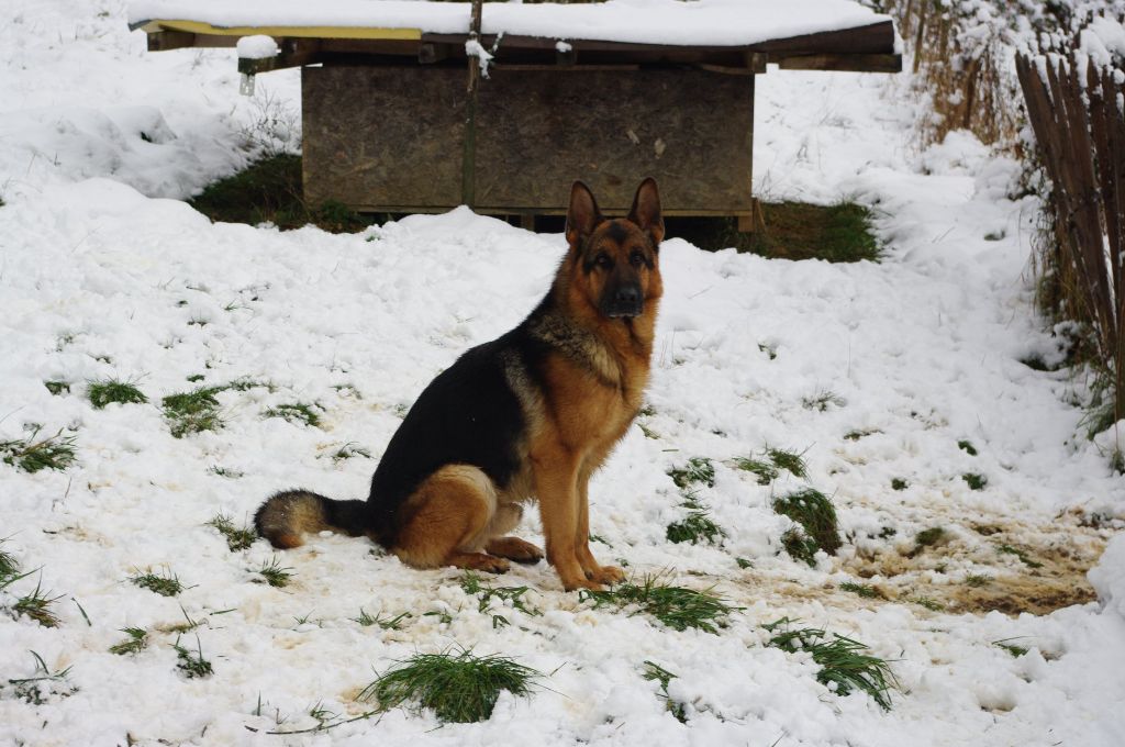 Ildo (ioda) de la citè  d'èmeraude