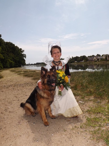 H'tara Des seigneurs de montbel