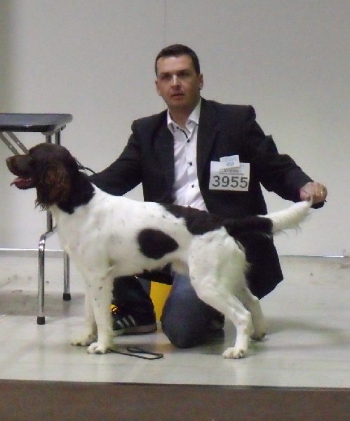 Publication : du terie et tilleul Auteur : HD