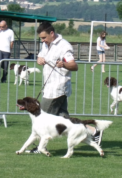 Publication : du terie et tilleul Auteur : HD