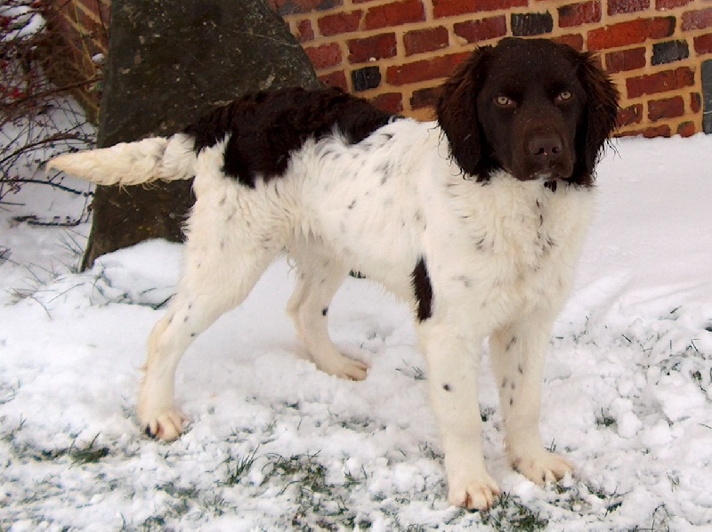 Publication : du terie et tilleul Auteur : HD