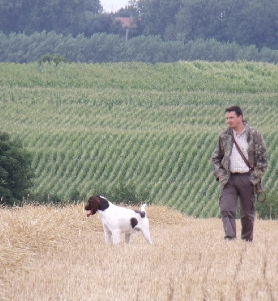 Publication : du terie et tilleul Auteur : HD