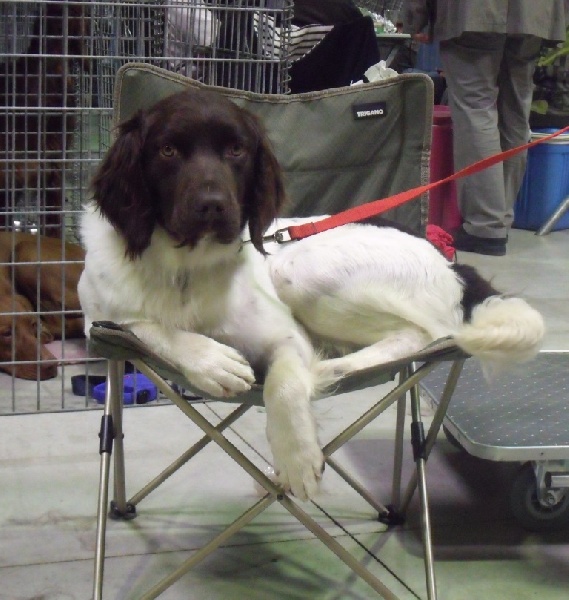 Publication : du terie et tilleul Auteur : HD