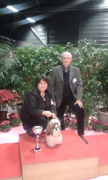 CH. France illy rah loin de Saranankara