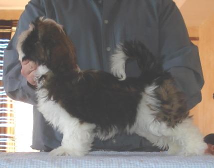 Divhine idyl de Saranankara