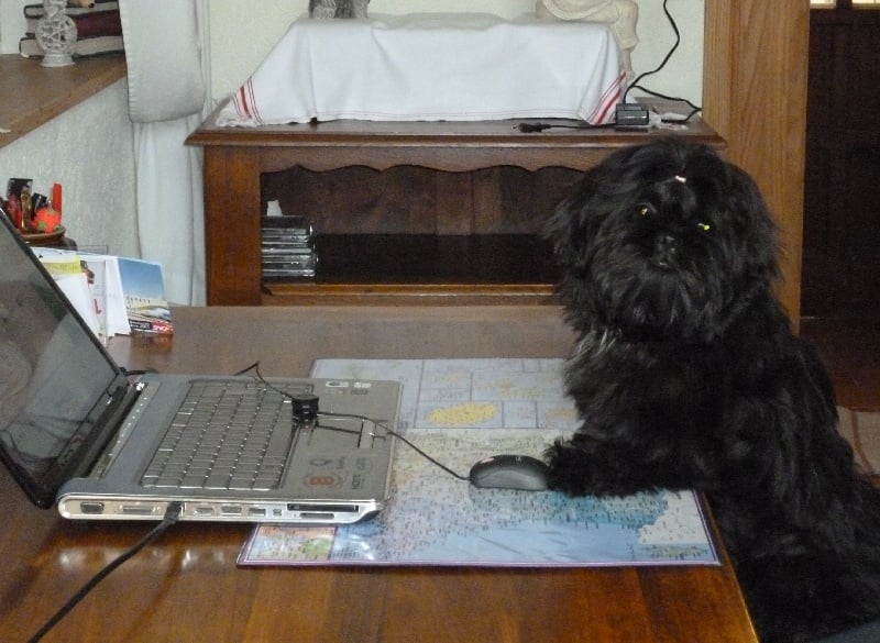 Ghin black pearl de Saranankara