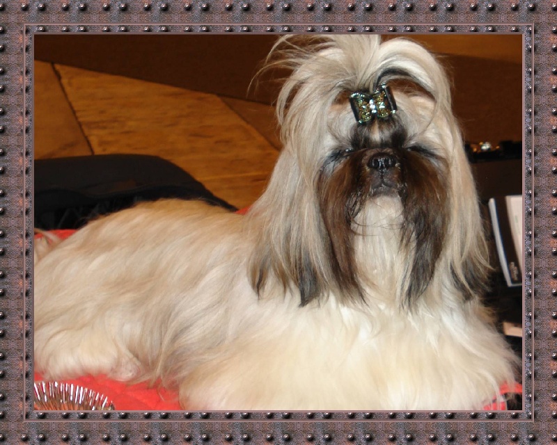 Publication : de Saranankara Auteur : Steve Jeanney/Thierry Billon