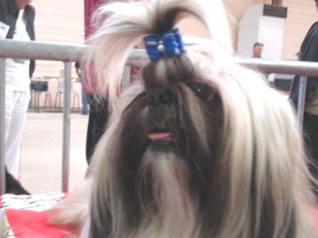 Publication : de Saranankara Auteur : Steve Jeanney/Thierry Billon