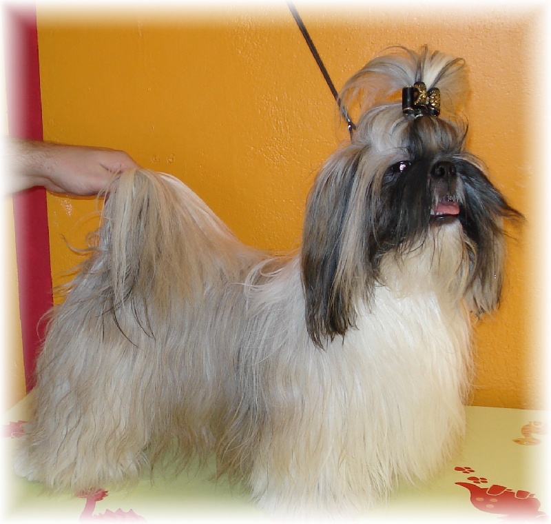 Publication : de Saranankara Auteur : Steve Jeanney/Thierry Billon