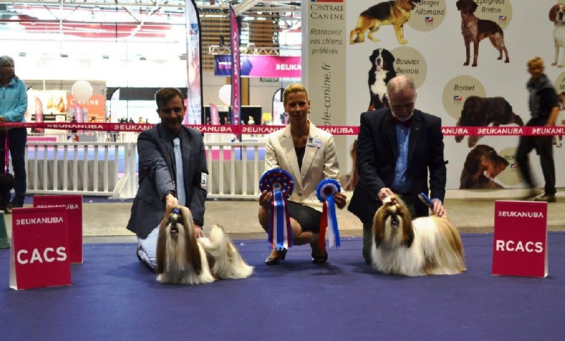 CH. France illy rah loin de Saranankara