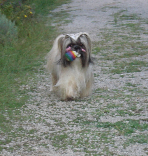 Publication : de Saranankara Auteur : Steve Jeanney/Thierry Billon