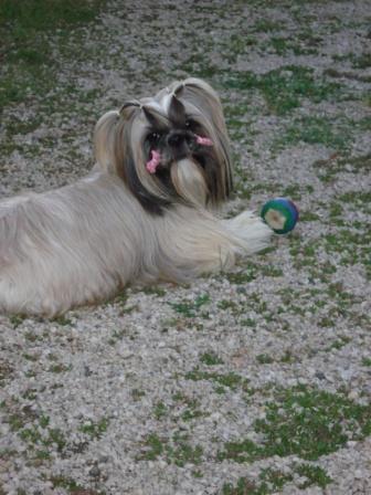 Publication : de Saranankara Auteur : Steve Jeanney/Thierry Billon