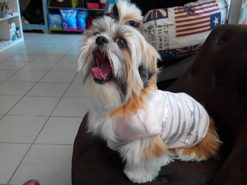 Guiv'me a kiss de Saranankara