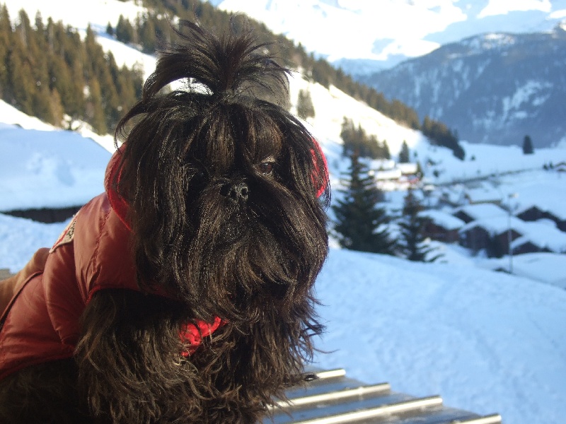 Garance black berry de Saranankara