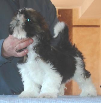 Divhine idyl de Saranankara