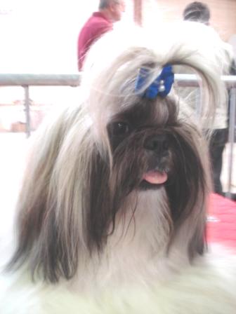 Publication : de Saranankara Auteur : Steve Jeanney/Thierry Billon