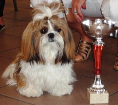 CH. Fid'jhee-little-flower de Saranankara