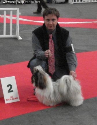 Biz bee dhul fo lee Du val d'éon - 2° Excellent en classe intermédiaire