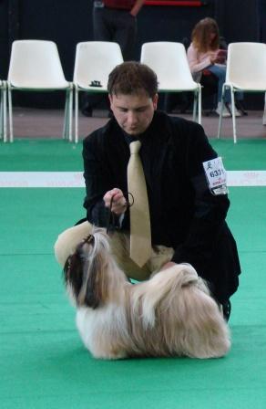 Biz bee dhul fo lee Du val d'éon - Excellent 15 chiens inscrits