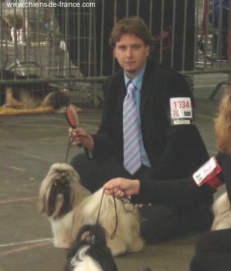 Biz bee dhul fo lee Du val d'éon - 1° exc classe ouverte CACS et RCACIB derrière le champion et récupère el CACIB