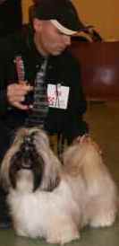 Biz bee dhul fo lee Du val d'éon - 4° Excellent