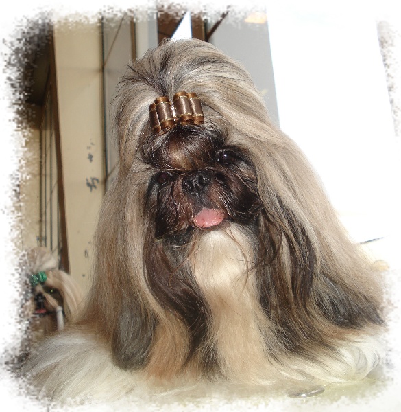 Biz bee dhul fo lee Du val d'éon - 2° excellent en classe ouverte RCACS