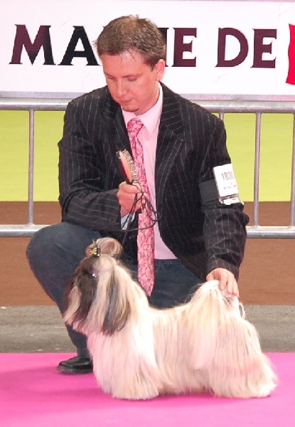 Biz bee dhul fo lee Du val d'éon - 2° excellent RCACS et 2° en concurrence avec la classe ouverte