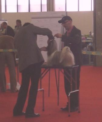 Biz bee dhul fo lee Du val d'éon - 2° excellent en classe ouverte RCACS