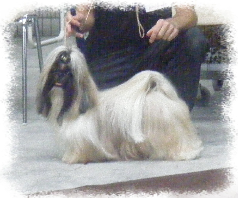 Biz bee dhul fo lee Du val d'éon - 2° excellent en classe ouverte