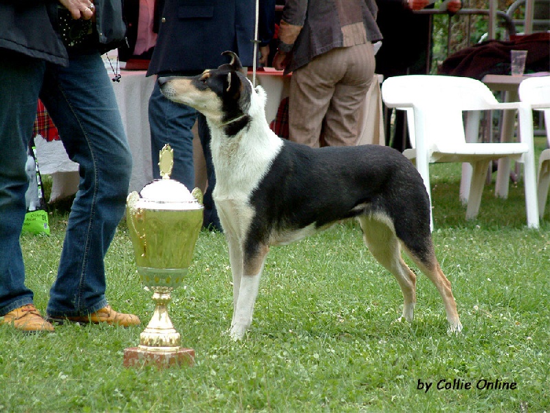 CH. Camaïl Du vent des moissons