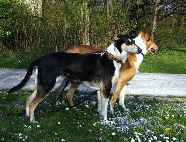 CH. Camaïl Du vent des moissons