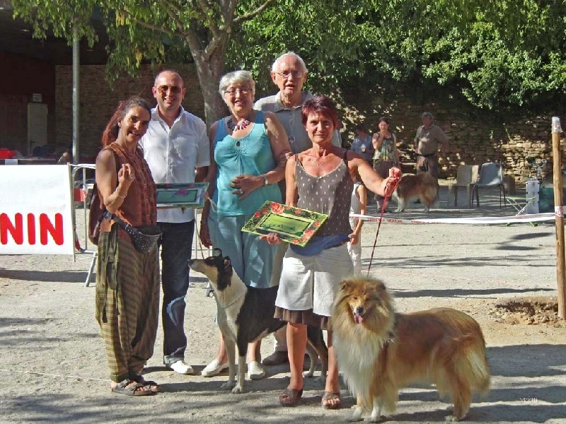 CH. Camaïl Du vent des moissons