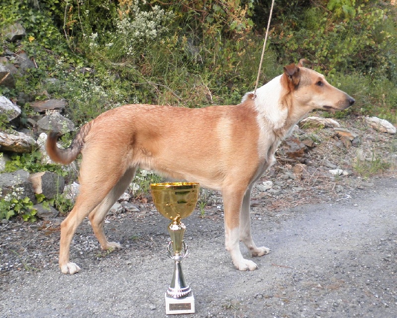 Ftizen tizen du Finfond - Cl. Jeune: 1°Exc. & Meilleur de Race
