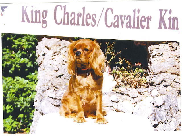 Bahia des brandes de beaulieu - 1er EXCELLENT