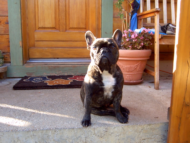 Publication : Des boules du mont d'Ayot Auteur : Mme BEATRIX S.