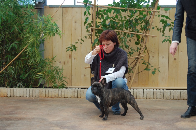 Publication : Des boules du mont d'Ayot Auteur : Mme BEATRIX S.