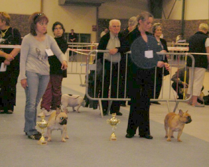 Publication : Des boules du mont d'Ayot Auteur : Mme BEATRIX S.