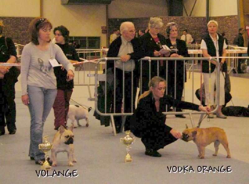 Publication : Des boules du mont d'Ayot Auteur : Mme BEATRIX S.