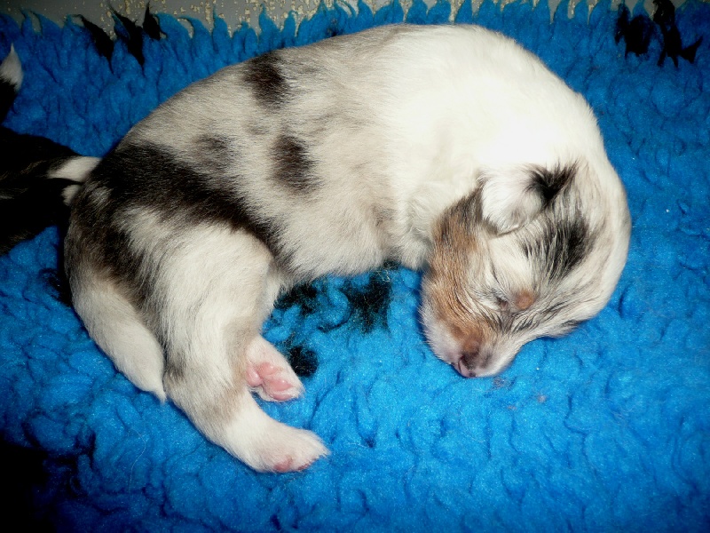 Galicia mi sueno of Wind River