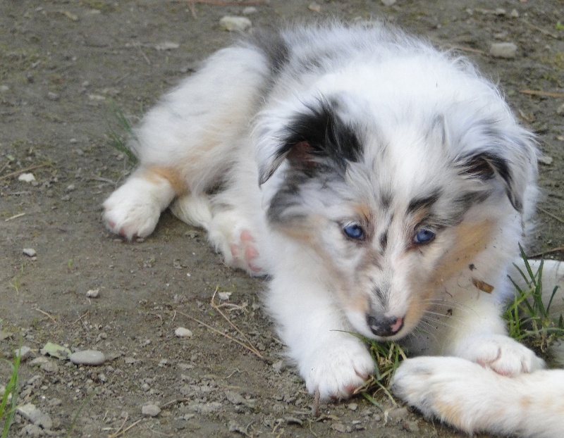 Galicia mi sueno of Wind River