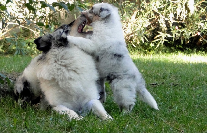 Galicia mi sueno of Wind River