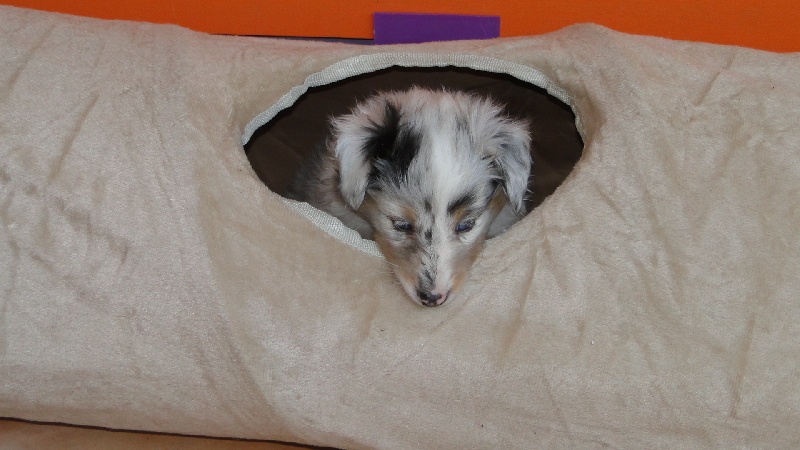 Galicia mi sueno of Wind River