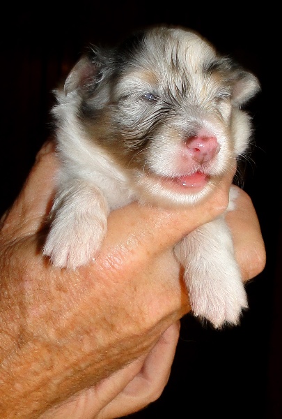 Galicia mi sueno of Wind River