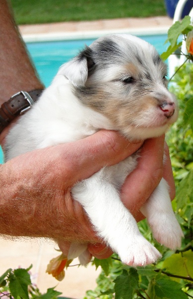 Galicia mi sueno of Wind River