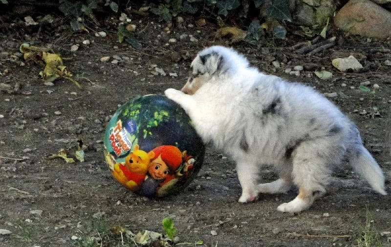 Galicia mi sueno of Wind River