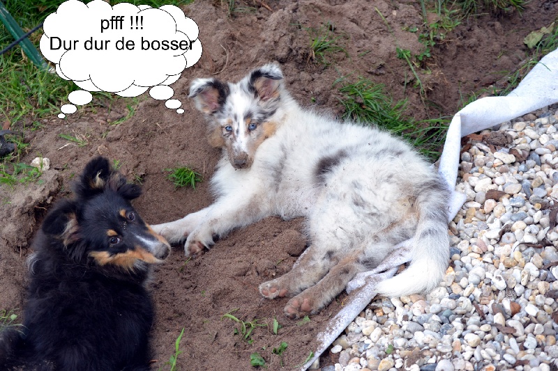 Galicia mi sueno of Wind River