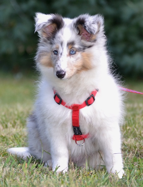 Galicia mi sueno of Wind River